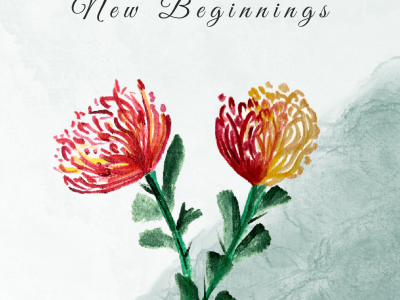 eBook New Beginnings