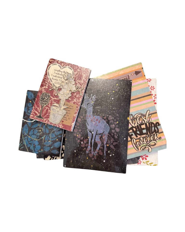 Anika’s Notebooks