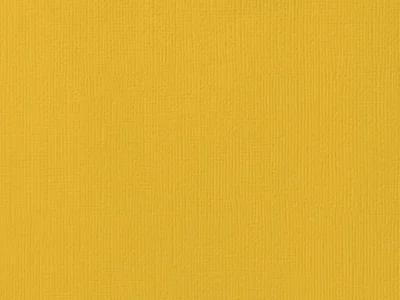 Card Stock - Tuscan Sun